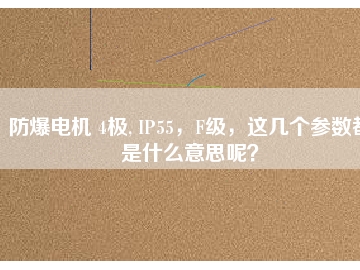 防爆電機 4極, IP55，F(xiàn)級，這幾個參數(shù)都是什么意思呢？