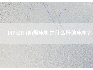 DIPA21T4防爆電機(jī)是什么樣的電機(jī)？