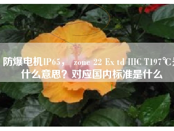 防爆電機(jī)IP65， zone 22 Ex td IIIC T197℃是什么意思？對應(yīng)國內(nèi)標(biāo)準(zhǔn)是什么