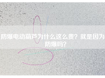 防爆電動葫蘆為什么這么貴？就是因為能防爆嗎？