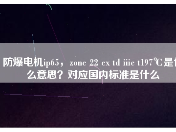 防爆電機(jī)ip65，zone 22 ex td iiic t197℃是什么意思？對應(yīng)國內(nèi)標(biāo)準(zhǔn)是什么