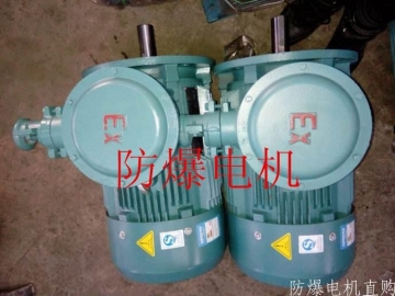 防爆電機(jī)分類：防爆電機(jī)選型、參數(shù)、定義