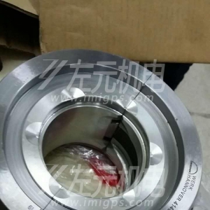 EFZLB 11-110,EFZLB 9-80電機(jī)軸瓦，油封及油環(huán)應(yīng)用于化工行業(yè)電機(jī)