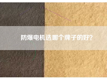 防爆電機(jī)選哪個(gè)牌子的好？