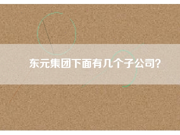 東元集團(tuán)下面有幾個子公司？