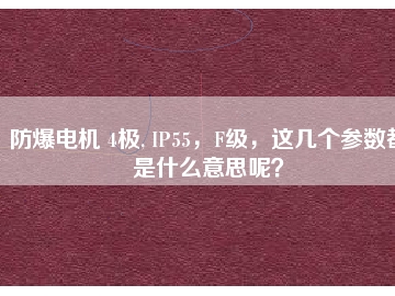 防爆電機 4極, IP55，F(xiàn)級，這幾個參數(shù)都是什么意思呢？