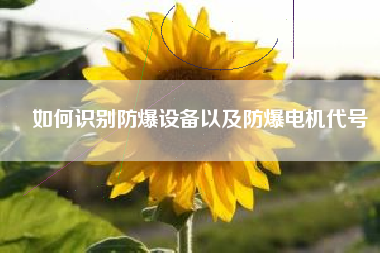 如何識別防爆設(shè)備以及防爆電機代號