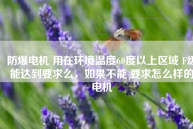 防爆電機 用在環(huán)境溫度60度以上區(qū)域 F級能達到要求么，如果不能 要求怎么樣的電機