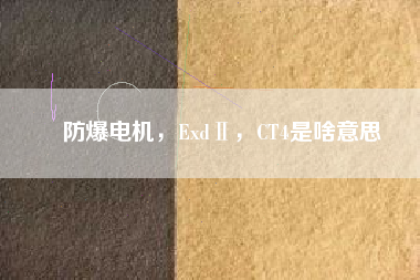 防爆電機(jī)，ExdⅡ，CT4是啥意思