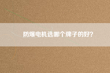 防爆電機(jī)選哪個(gè)牌子的好？