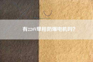 有220V單相防爆電機(jī)嗎？